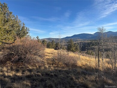 84 Pine Ridge Rd, Fairplay, CO 80440 - photo 4