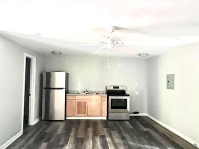 534 Soperton Hwy, Eastman, GA 31023 - photo 6