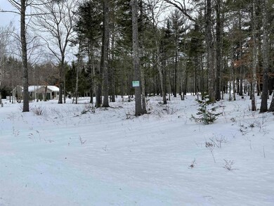 37 Mountain Rd, Center Tuftonboro, NH 03816 - photo 2