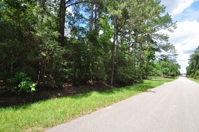 10106 Seneca Trail, Magnolia, TX 77354 - photo 6