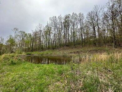 IMG_3861