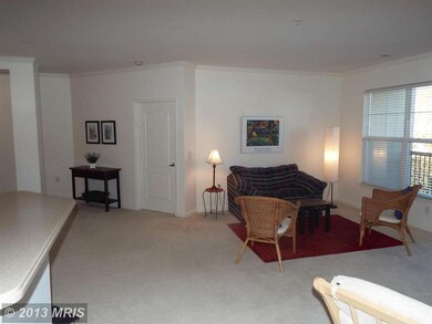 815 Branch Dr unit 208, Herndon, VA 20170 - photo 4