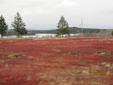 Land with view