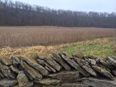 363 Holt Ln, Frankfort, KY 40601 - photo 4