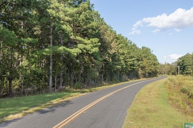 0 S Brewington Rd, Manning, SC 29102 - photo 3