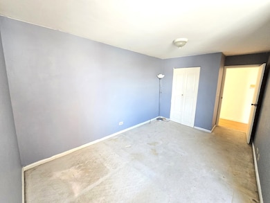 238 W 31st St unit 4E, Chicago, IL 60616 - photo 7