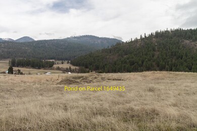 3600 BLK Beck Rd, Rice, WA 99167 - photo 6