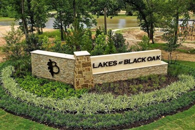 227 Intrepid Trail, Magnolia, TX 77354 - photo 4