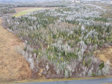 481 Plante Rd, Caribou, ME 04736 - photo 2