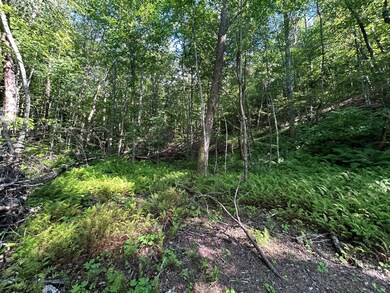 3970 Tennessee 68, Turtletown, TN 37391 - photo 4