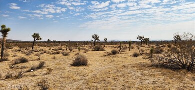 60220 Drexel Rd, Joshua Tree, CA 92252 - photo 6