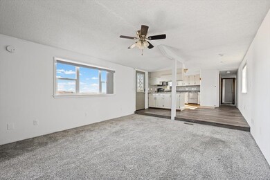 20048 Whitewood Valley Rd, Whitewood, SD 57793 - photo 6