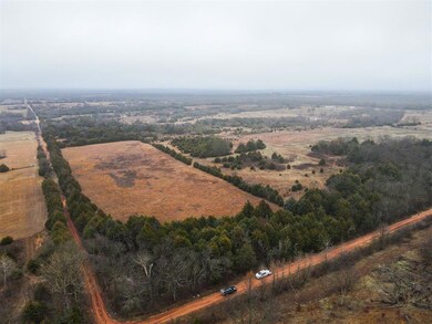 Bird's eye view featuring a rural view