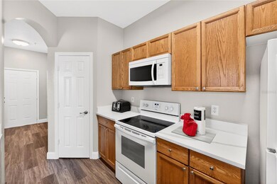 8105 Coconut Palm Way unit 203, Kissimmee, FL 34747 - photo 7