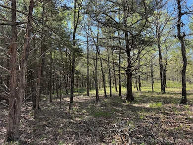 11 E Blue Creek Rd, Blocker, OK 74501 - photo 7