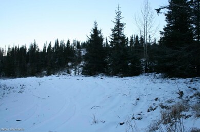 L38A Sterling Hwy, Anchor Point, AK 99556 - photo 2