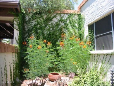 4809 S La Rosa Dr unit B, Tempe, AZ 85282 - photo 7