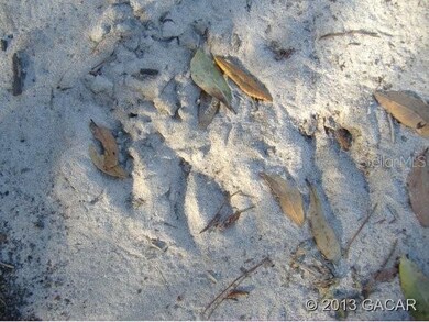 247 Indian Lakes Forest Rd, Florahome, FL 32140 - photo 5