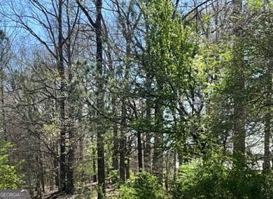 0 Double Bridges Rd unit 10647857, Winterville, GA 30683 - photo 2