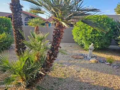 backyard2