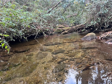 Creek on adjoining greenbelt to Lot 72
