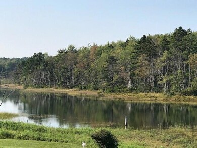Marsh views