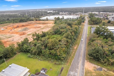 0 Plum Rd, Dothan, AL 36303 - photo 6