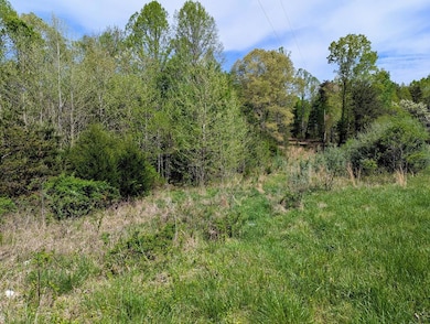 0 Trent Store Rd unit 99494, Spencer, VA 24165 - photo 5