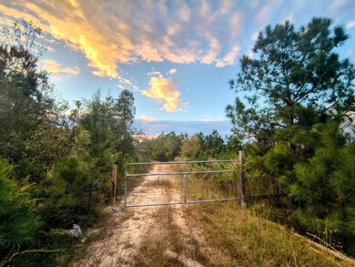 2427 B Wire Rd, Aiken, SC 29805 - photo 2