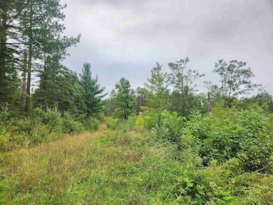 27XXX Dayton Rd, Washburn, WI 54891 - photo 3