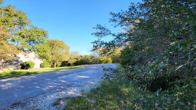 21029 Trailwood Dr, Whitney, TX 76692 - photo 5