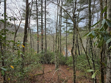 unlisted-address, Tuckasegee, NC 28783 - photo 6