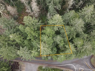 9203 Eckenstam Johnson Rd, Anderson Island, WA 98303 - photo 3