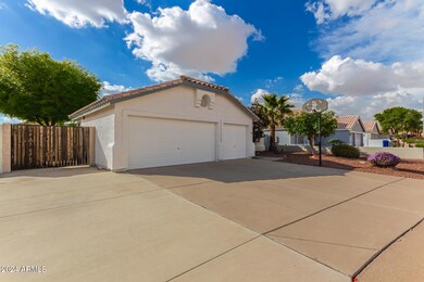 04 - Palo Verde