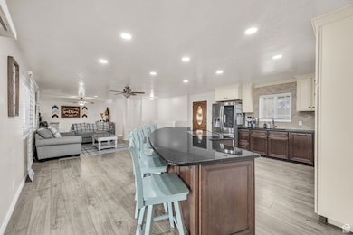 263 Silver Maple Dr, Delta, UT 84624 - photo 7