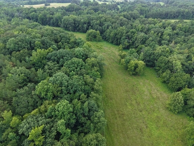 0 Perry Chapel Rd, Ashland, MS 38603 - photo 7