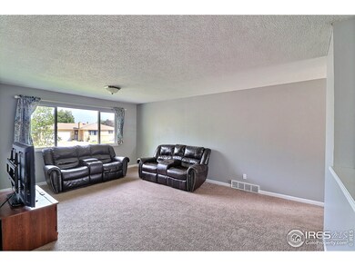 Opens Up to This Lovely Living Room