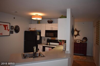 21 Tintern Ct unit 103, Lutherville Timonium, MD 21093 - photo 4