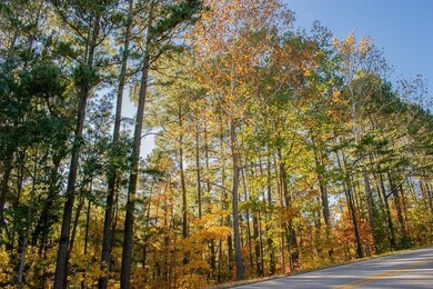 0 Leiston Ln, Bella Vista, AR 72714 - photo 7