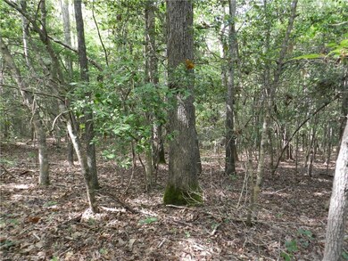 0 Burney Rd unit 811880, Asheboro, NC 27205 - photo 7