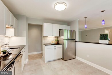 11301 Commonwealth Dr unit 302, Rockville, MD 20852 - photo 6