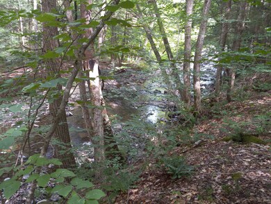 000 Wheeler Rand Rd, Charlestown, NH 03603 - photo 5