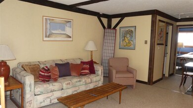 3 Fox Meadow Ln unit 3G, Dover, VT 05356 - photo 5