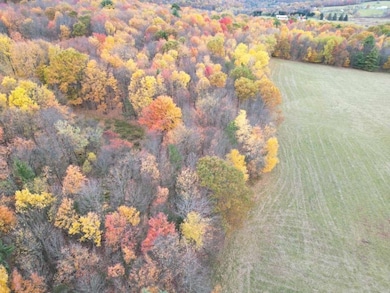 0 Pennsylvania 167 unit 333946, Brackney, PA 18812 - photo 6