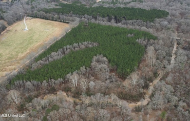 DJI_0575