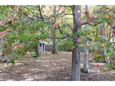 Beautiful large back yard offers privacy and safet