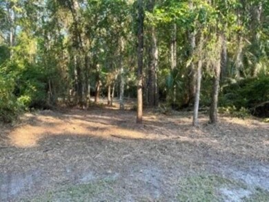 5 Oak St, Crawfordville, FL 32327 - photo 5