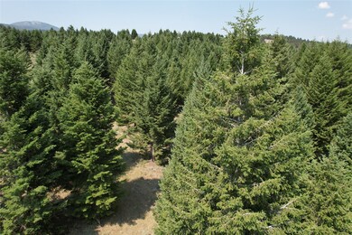 Lot 25 Sun Ranch W, Cameron, MT 59720 - photo 7