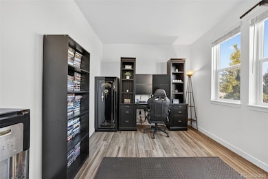 2603 Mayotte Way, Castle Rock, CO 80109 - photo 5