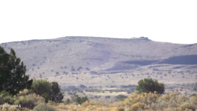 4620 S First Ave, Valle, AZ 86046 - photo 6